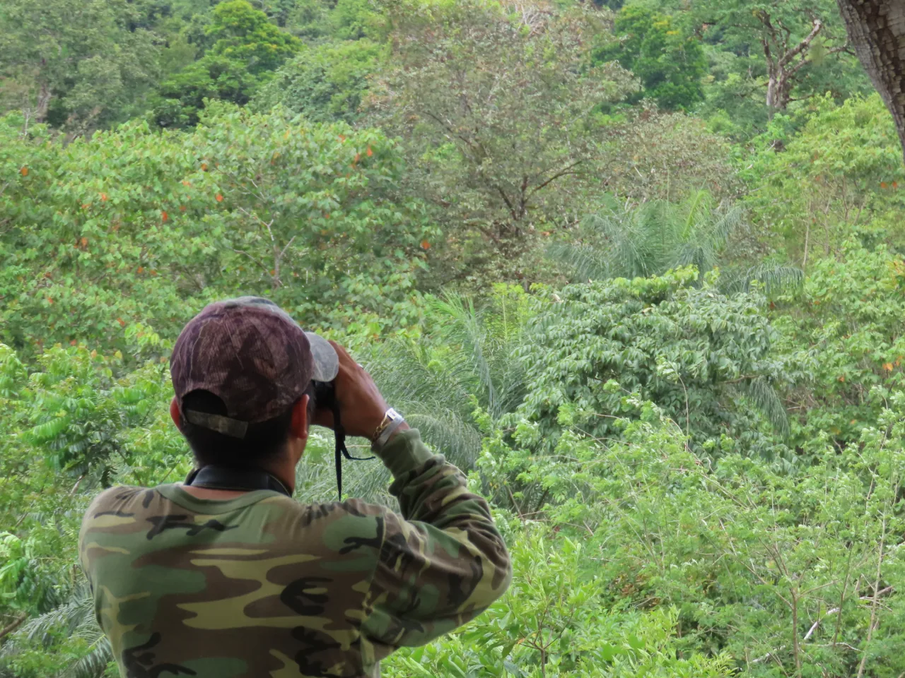 Observador con binoculares durante un recorrido de aviturismo en La Mariola.