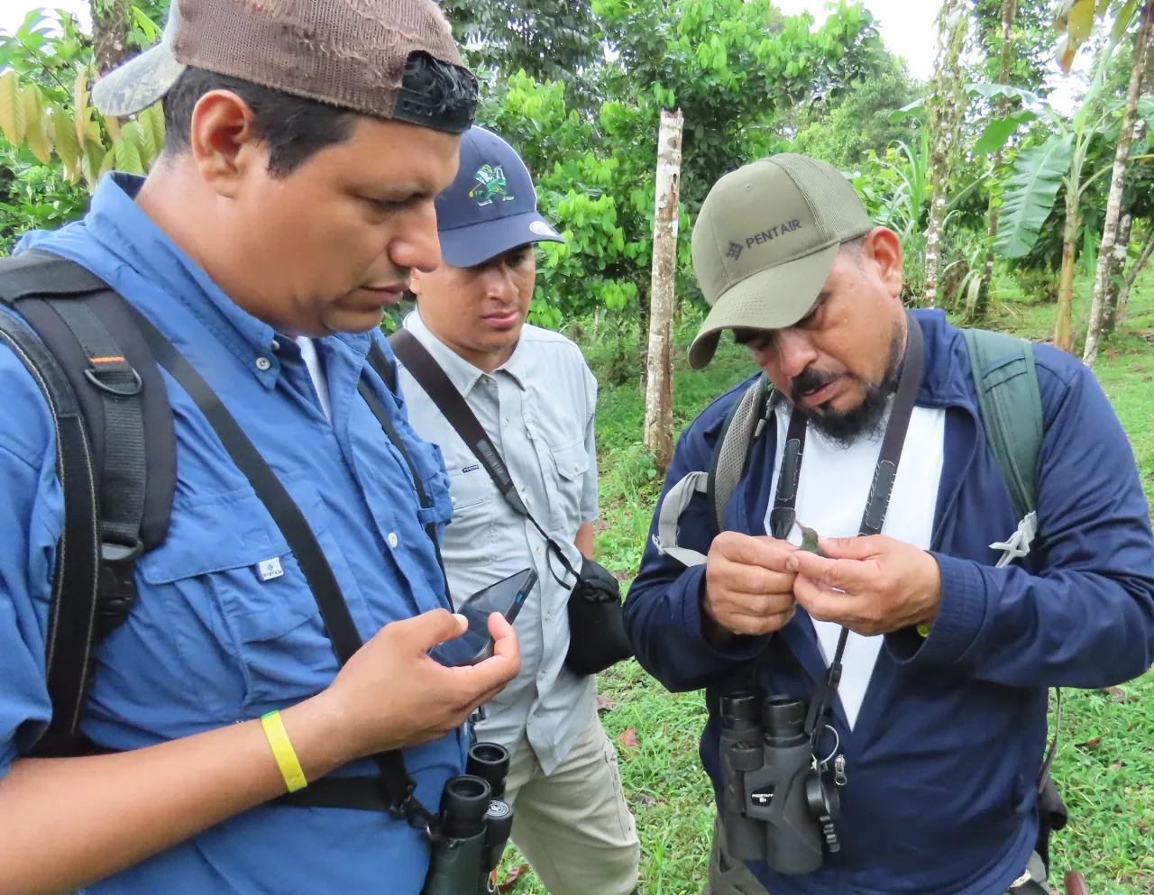 Integrantes del Clan Thamnophilos - Nicaragua durante una salida de observación en La Mariola.