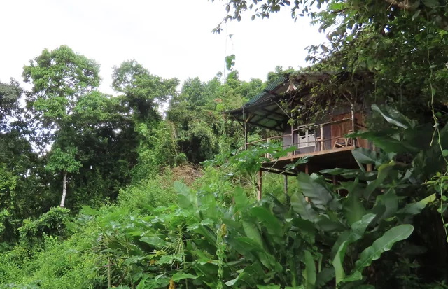 Cabaña de madera de La Mariola integrada al bosque tropical.