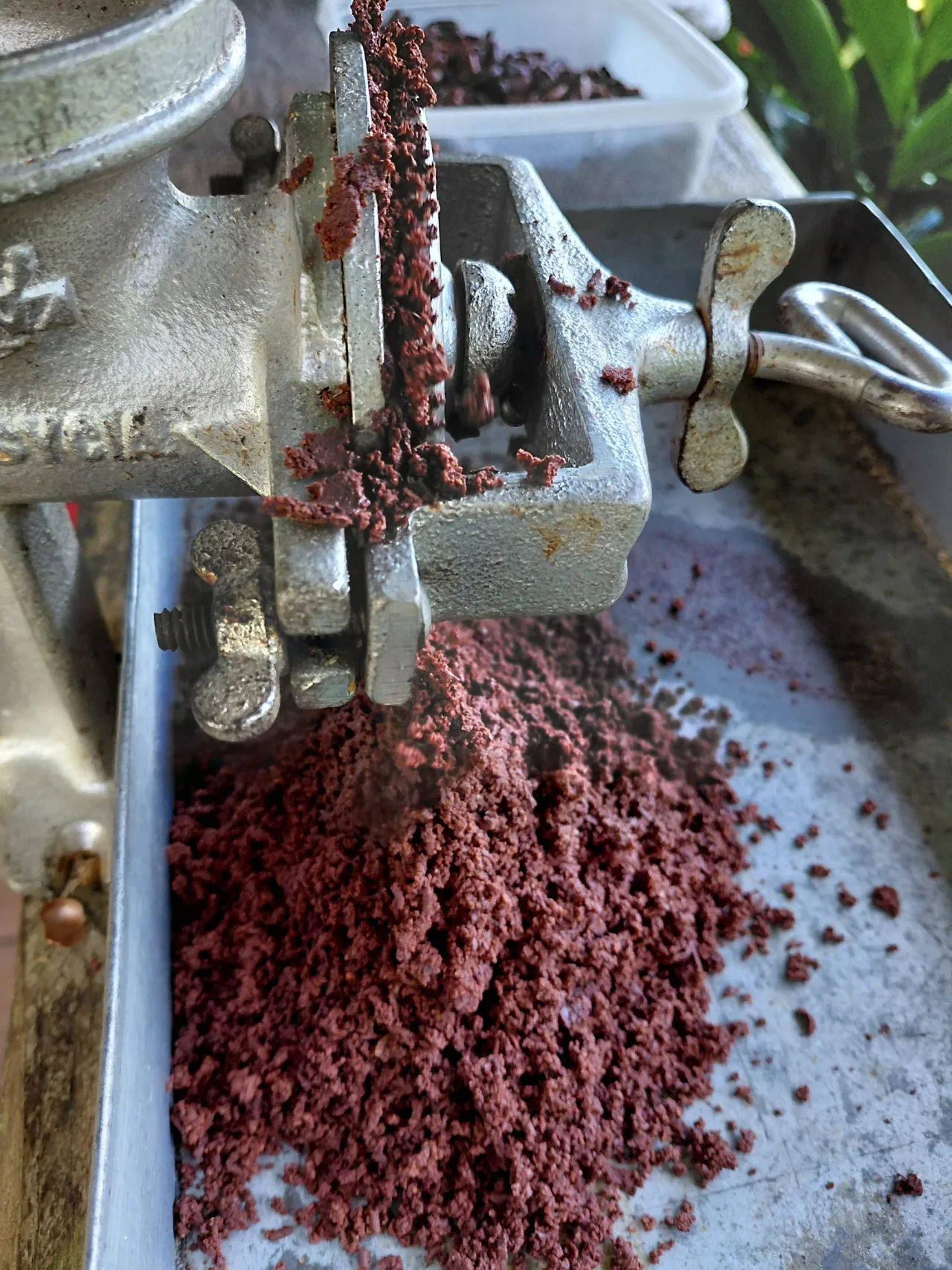 Cacao de la finca La Mariola molido a mano en molino manual.